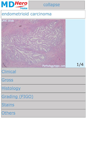 Surgical Pathology