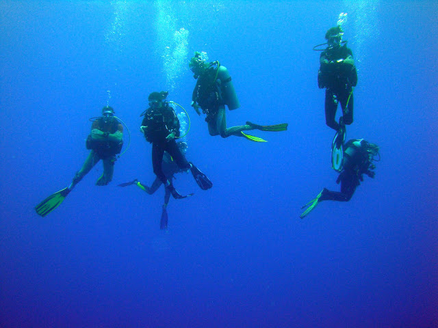Blog de perretausoleil : Voyage au bout du monde de la famille PERRET, Rangiroa plong�e 3