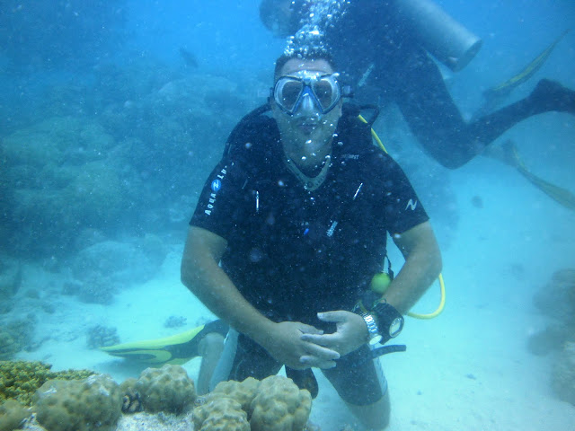 Blog de perretausoleil : Voyage au bout du monde de la famille PERRET, Rangiroa plong�e 3