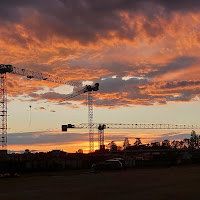 Cranes at sunset di utente cancellato