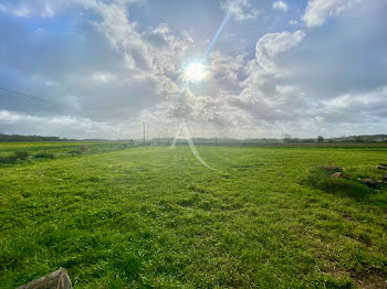 terrain à Saint-Martin-de-Sanzay (79)