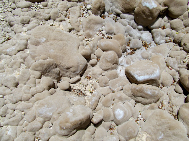 Mineral-covered rocks
