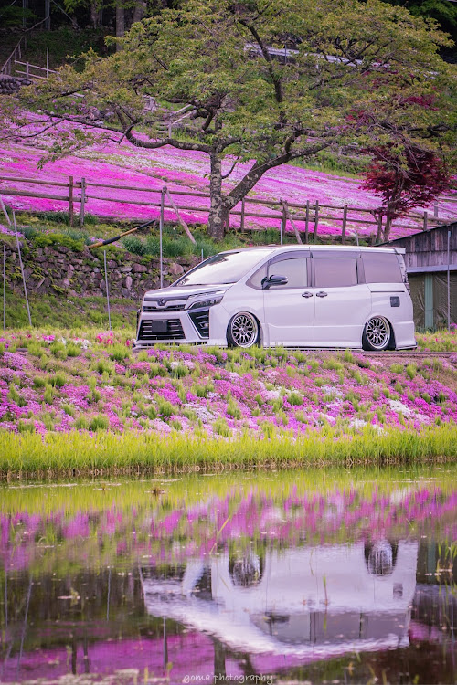 ヴォクシーの國田家の芝桜・國田家のおばあちゃんが育てた芝桜・petanco works・芝桜の絨毯・岐阜県郡上市に関するカスタム事例の投稿画像2枚目