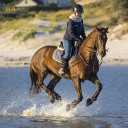 Horses run on water