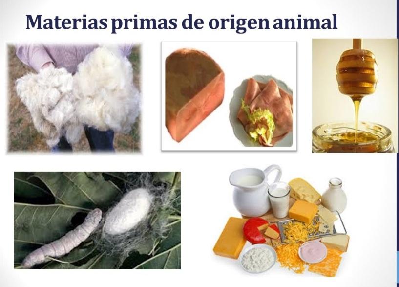 Resultado de imagen de materias primas de origen animal