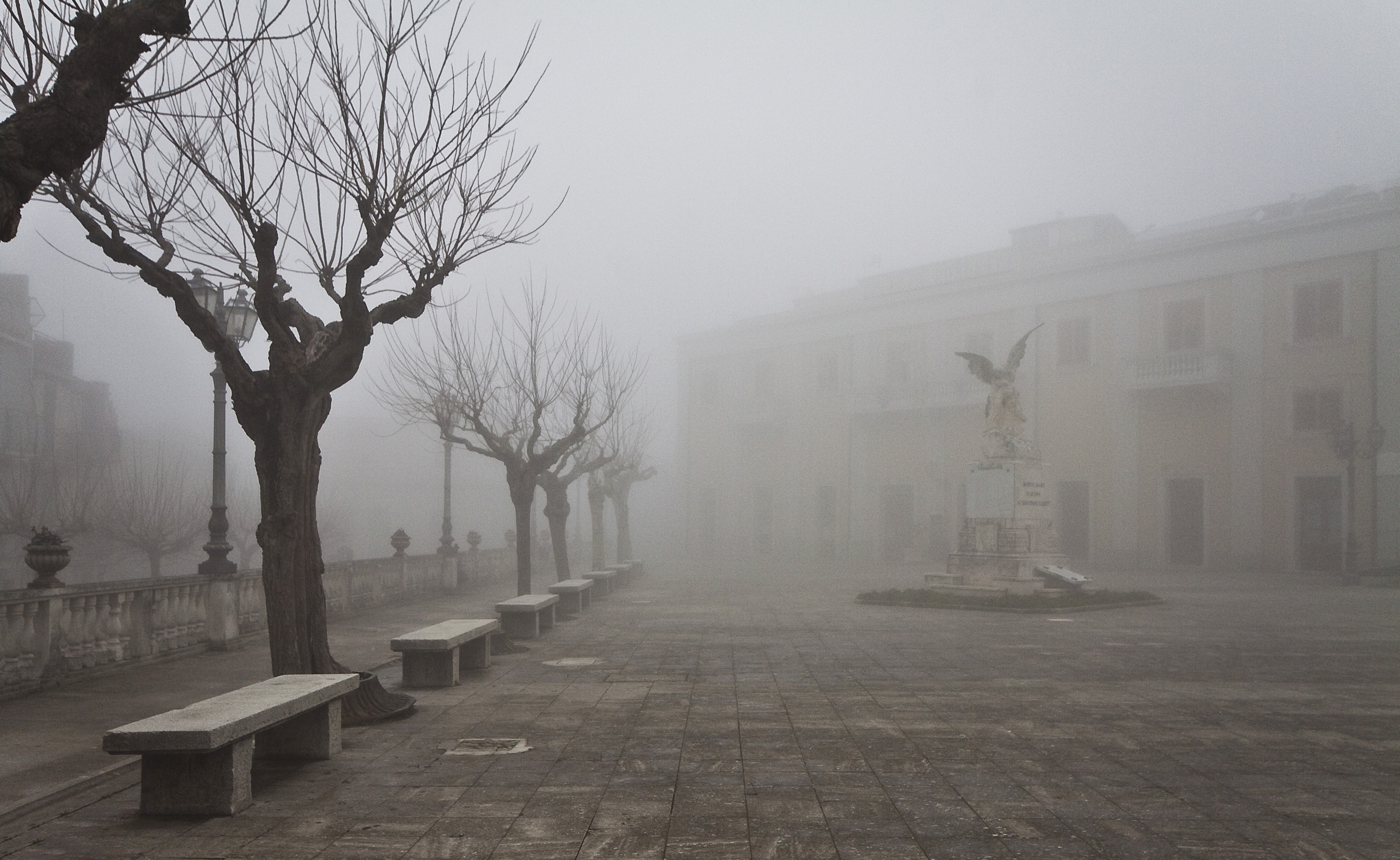 nebbia di Pino1963