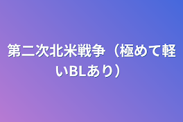 第二次北米戦争（極めて軽いBLあり）