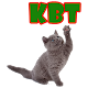 Download KBT For PC Windows and Mac