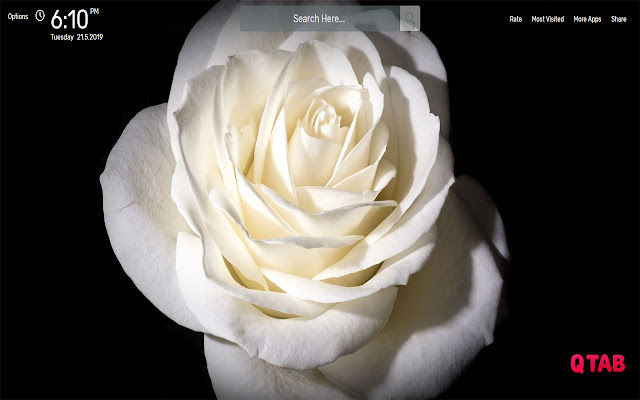 Roses Wallpapers HD Theme