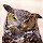 Owl - New Tab in HD