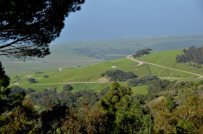 Greciean Pool