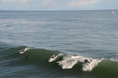 surfing