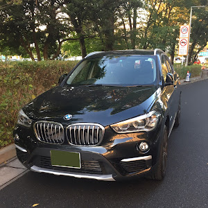 X1 xDrive 20i