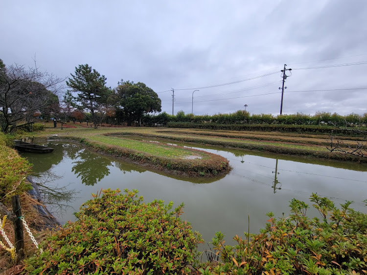 ワゴンRの海津市・マンホールカード・木曽三川水郷カード・愛西市・文化遺産に関するカスタム事例の投稿画像44枚目
