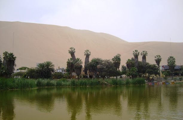 Verde in oasi di TAIDEMANA