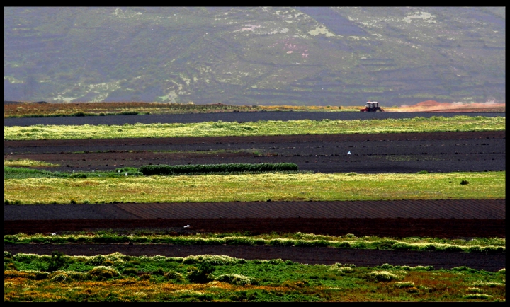 Lanzarote di giuseppe46