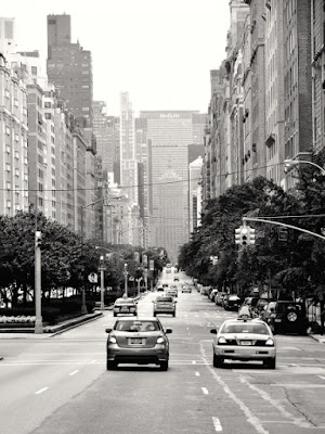 Park Avenue di photofabi77