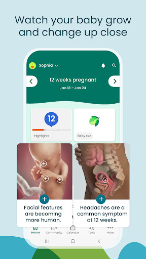 Screenshot Pregnancy App & Baby Tracker