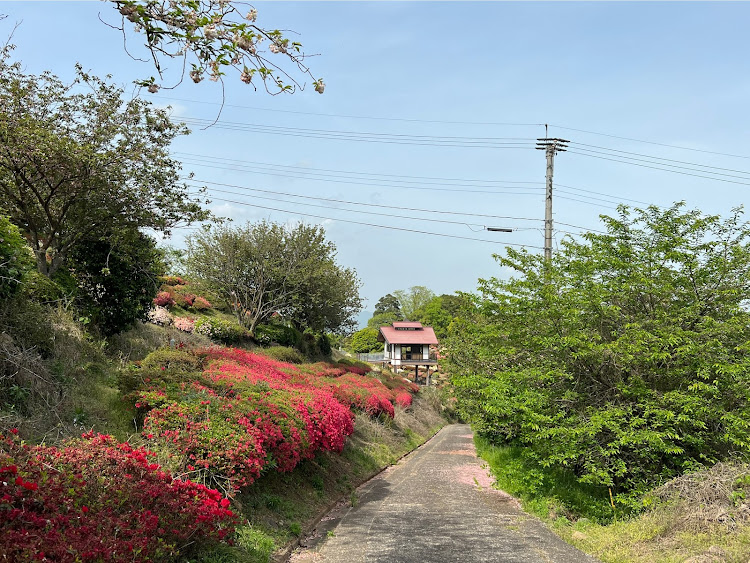 プリウスαの歌垣公園に関するカスタム事例の投稿画像6枚目