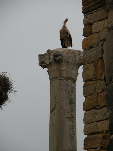 موسوعة صور من المغرب DSCN0653