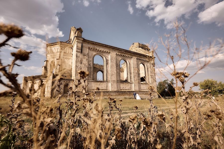 Fotografo di matrimoni Aleksandr Grushko (alexandergrushko). Foto del 1 settembre 2018