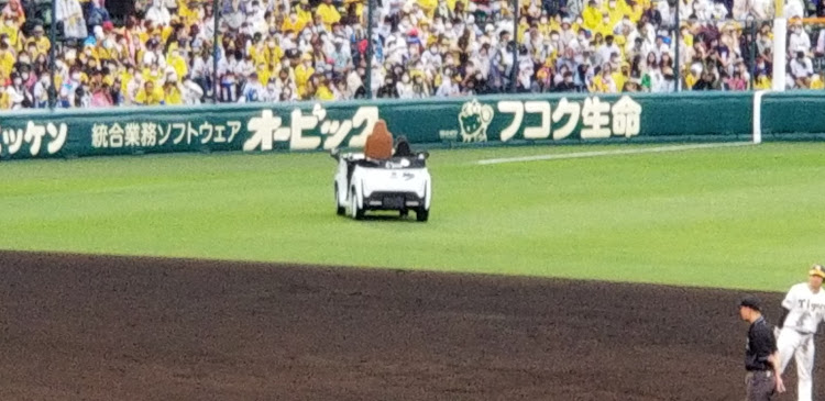 ゴルフGTIのトラッキー・BIGBOSS・はたらく車・C+podに関するカスタム事例の投稿画像32枚目