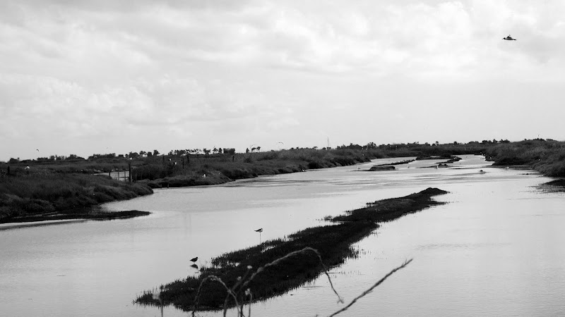 Ilha de Ré - França P5084964