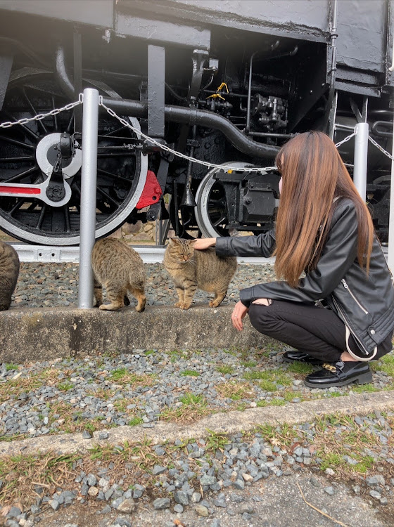 ビュートのコラボ・光岡ビュート・ラパン HE21S・福岡・皿山公園に関するカスタム事例の投稿画像9枚目