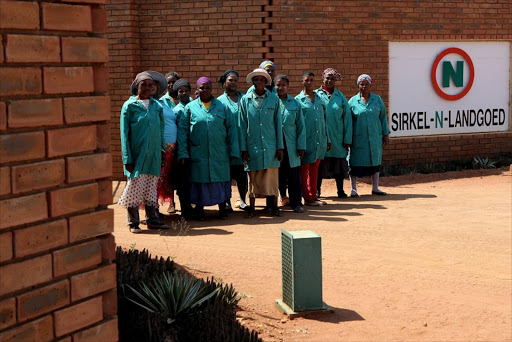 These farm workers were fired at Sirkel-N-Landgoed and have taken their case to the CCMA. Photo: SANDILE NDLOVU © Sowetan