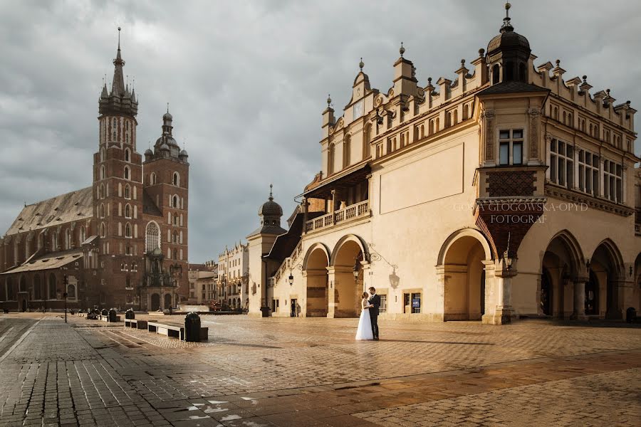 Wedding photographer Gosia Glogowska-Opyd (gosia). Photo of 15 June 2023