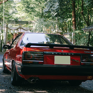 スカイライン