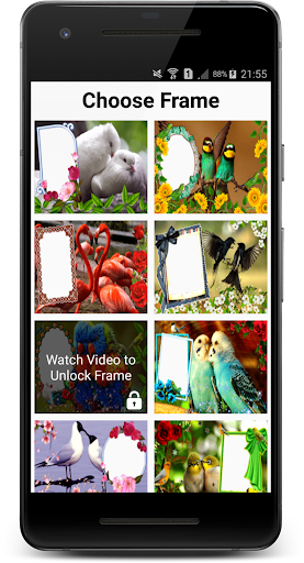 Love Birds Photo Frames