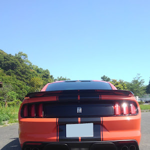 シェルビー GT350