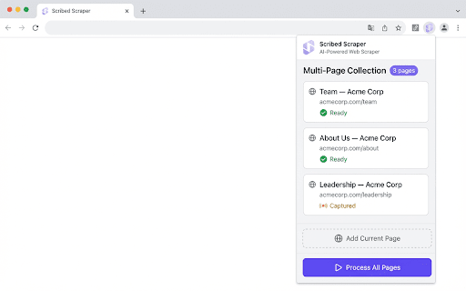 Scribed Scraper — Extract Any Website with AI screenshot 4