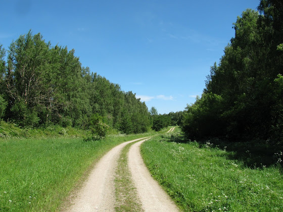 Türi-Paide-Tamsalu raudteetamm Järva-Jaani lähedal