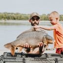 Common Carp (Cyprinus carpio)