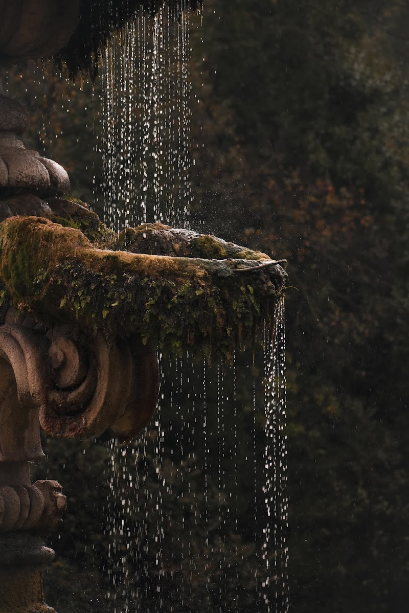 Acqua di fontana di Sasha Maiuolo