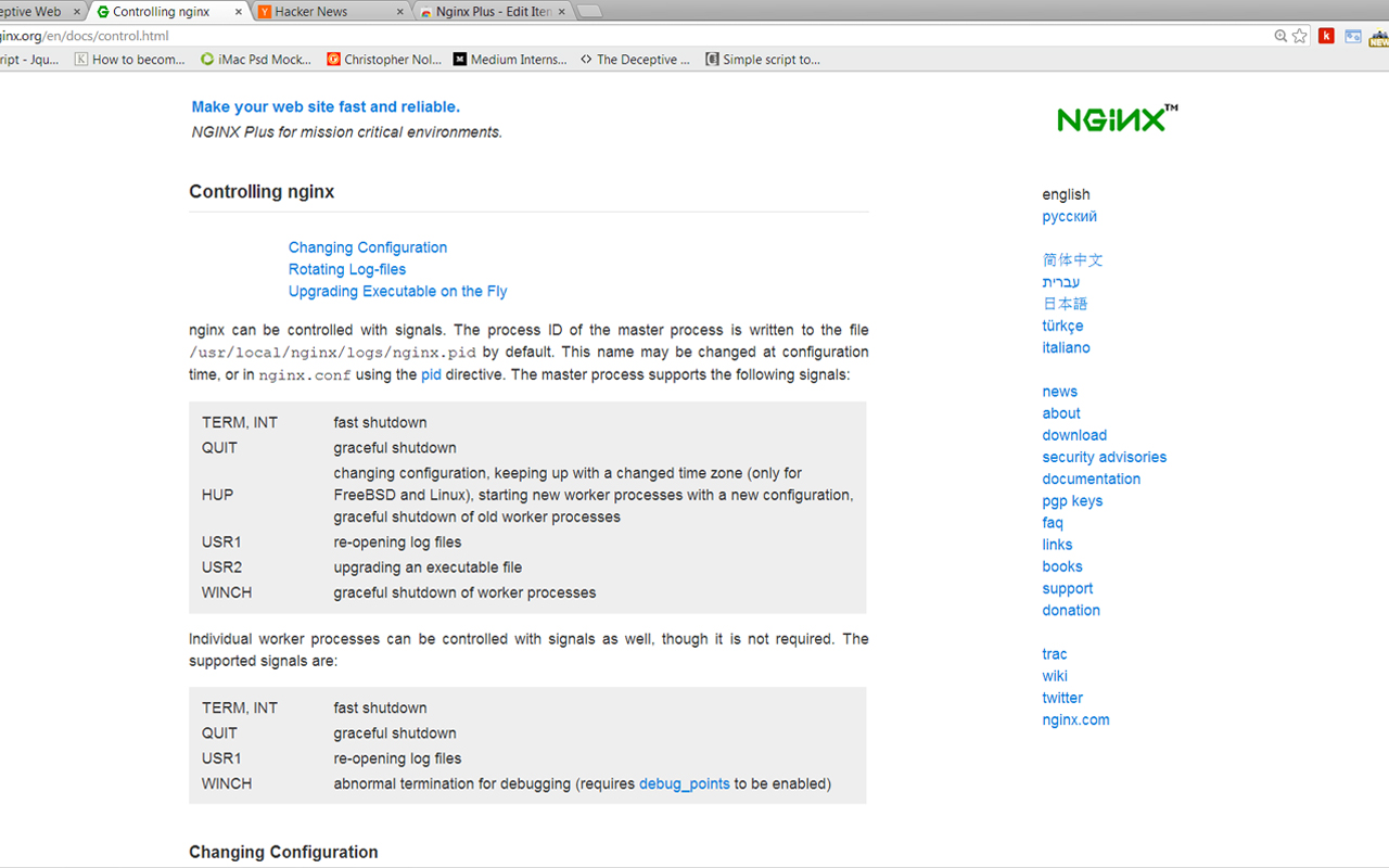 Nginx Plus Preview image 1