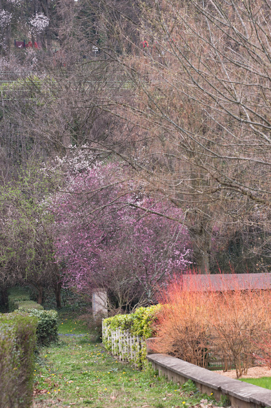 allée colorée... ou quand le printemps s'annonce en couleurs 20110315_03_allee_coloree_DSC9933