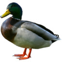 Ducks to ? emoji Chrome extension download