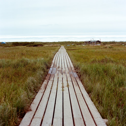 ILATKA The Inuit Word For My Relatives Southwest Alaska — Google