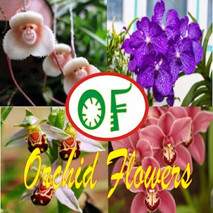 Orchid Flowers(圖9)-速報App