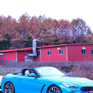 Z4