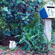 永安61庭園咖啡(生態農場)