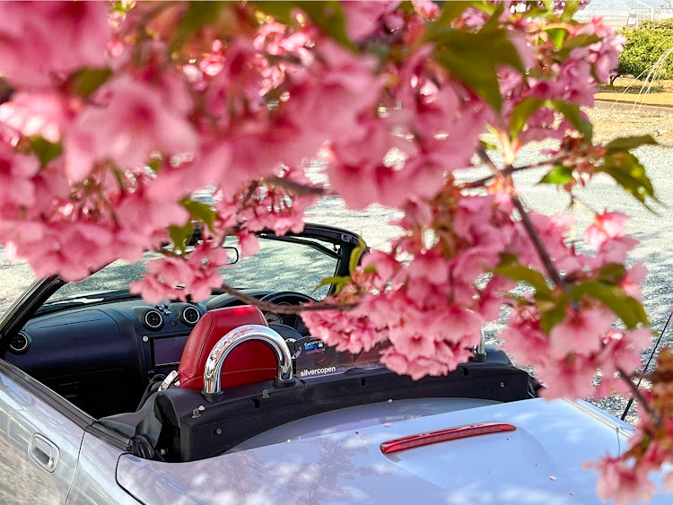コペンの河津桜・L880K・COPEN・DAIHATSU・コペンに関するカスタム事例の投稿画像1枚目