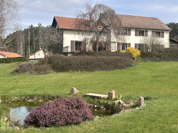 maison à Saint-die-des-vosges (88)