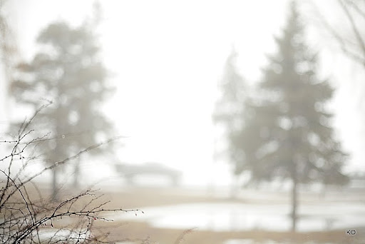 IMAGE: https://lh3.googleusercontent.com/_hdZasF15SMc/TXksXZC8p5I/AAAAAAAASMg/OUf0i49bV3o/_MG_2226.JPG