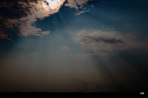 IMAGE: https://lh3.googleusercontent.com/_hdZasF15SMc/TXz6t5vTfTI/AAAAAAAASPo/tTr87M3moDQ/2010_08_19_4094.JPG