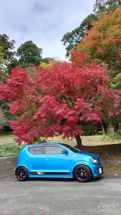 アルトワークスの紅葉ドライブに関するカスタム事例の投稿画像5枚目