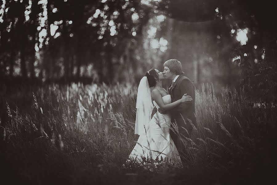 Wedding photographer Aleksandr Fayruzov (fayruzov). Photo of 1 September 2013